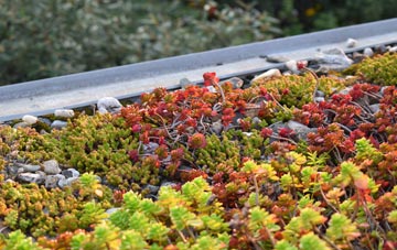 the cost of Wold Newton green roof installation