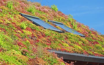 Wold Newton living roof systems