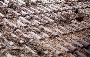 Wold Newton roof cleaning companies