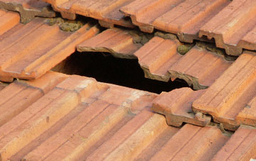 roof repair Wold Newton
