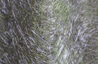 Wold Newton fibreglass roof work